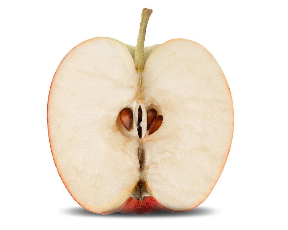 Pomme Evelina coupée, ouverte